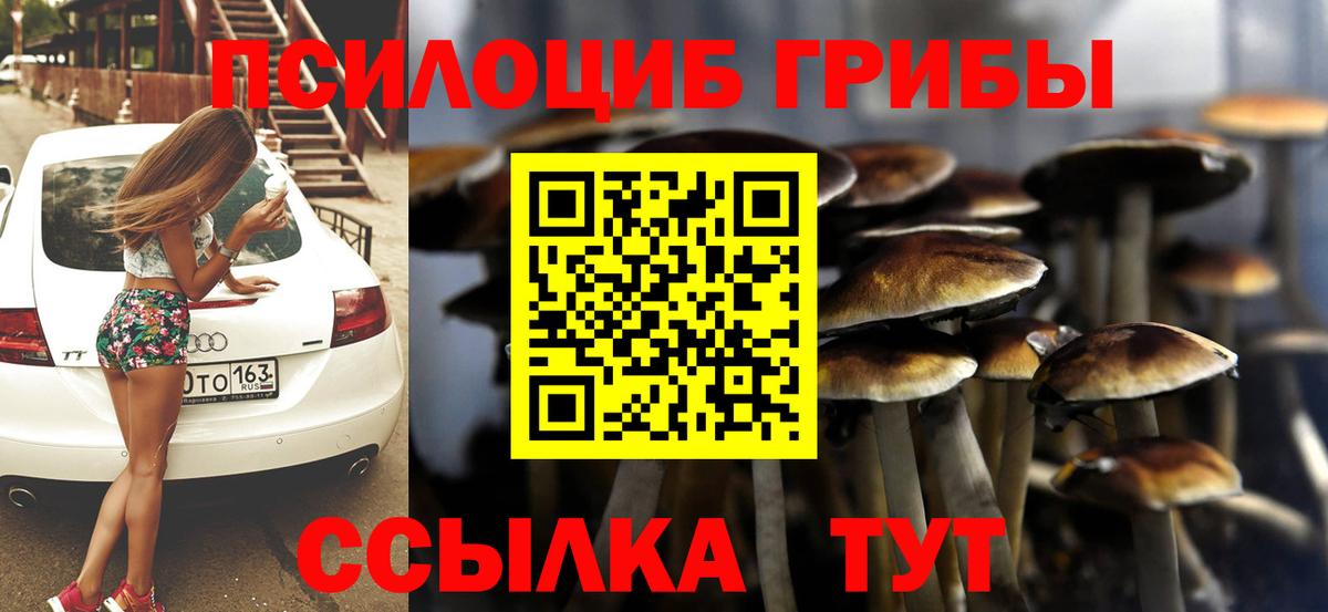 Псилоцибиновые грибы Cubensis Славгород