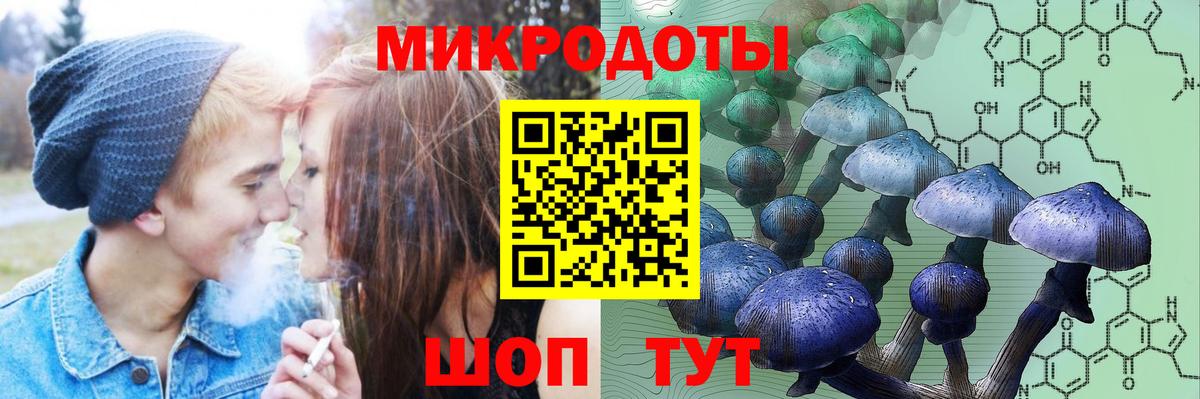 Славгород  где купить наркотик  Вход с VPN  Псилоцибиновые грибы Cubensis 